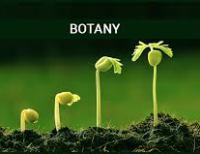 Botany