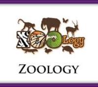 Zoology